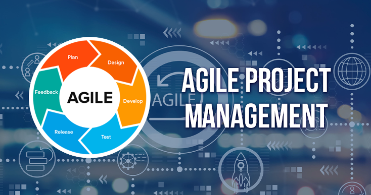 Agile project management là gì? Quy trình Agile project management
