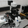 Hệ thống kính hiển vi thao tác vi cấp
