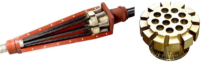 Neo nối dự ứng lực