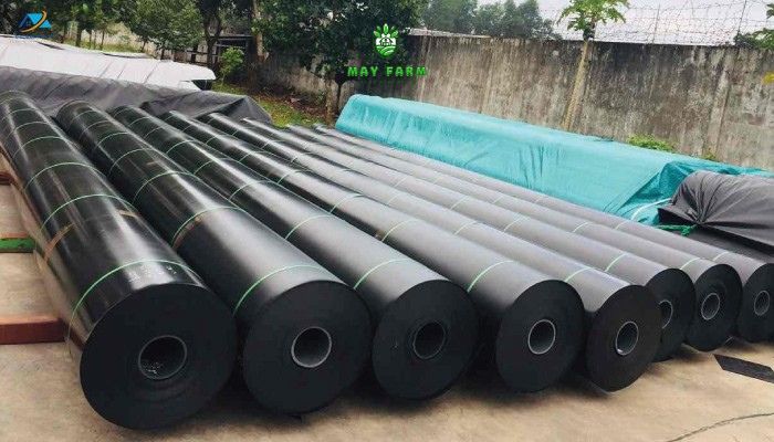Công ty cổ phần May Group Việt Nam