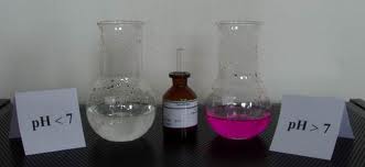 Công ty cổ phần Phương Bắc