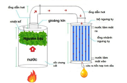 Hệ thống tách và tinh chế đơn hương tinh dầu quy mô pilot (YDU101)