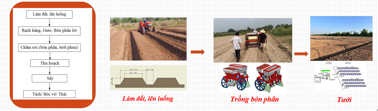 Viện Cơ điện Nông nghiệp và Công nghệ sau thu hoạch