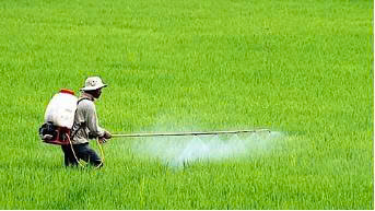 Dịch vụ tư vấn nông nghiệp