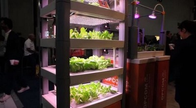 Farm Cube - Công nghệ trồng rau sạch qua điện thoại thông minh