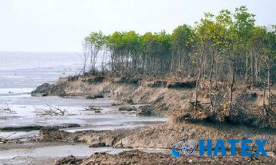 Bộ KH&CN; đặt hàng nghiên cứu xây dựng mô hình sinh thái bền vững ven biển Đồng bằng Sông Cửu Long