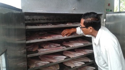 Chế tạo thành công máy sấy cá Dứa bằng năng lượng mặt trời