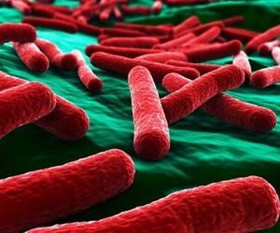 Chế tạo thành công vật liệu kháng khuẩn mới trung hòa vi khuẩn E. coli trong vòng 30 giây