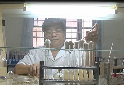 Công nghệ xử lý rơm rạ tại ruộng làm phân bón sinh học