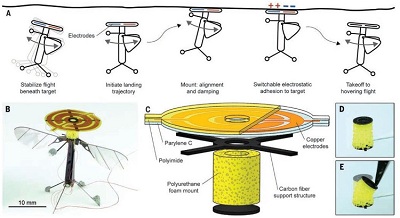Đại học Harvard chế tạo thành công robot do thám siêu nhỏ