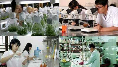 Bộ Khoa học và Công nghệ đặt hàng 6 đề tài khoa học và công nghệ cấp quốc gia