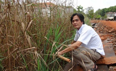 Độc đáo mô hình xử lý nước thải bằng cây sậy