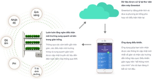 Greenbot - robot trồng rau tại nhà