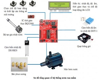 Hệ thống ươm rau mầm sạch tự động đa năng