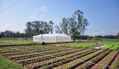 Hỗ trợ tới 80% cho doanh nghiệp chuyển giao, ứng dụng khoa học công nghệ trong nông nghiệp