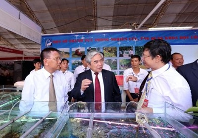 Khai mạc hoạt động 
