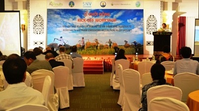 Khởi động dự án “Sản xuất lúa bền vững và giảm phát thải khí nhà kính AgResults tại Việt Nam”