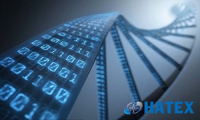 Phương pháp mới sử dựng ADN lưu trữ hình ảnh kỹ thuật số