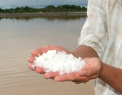 Sản xuất muối nông nghiệp sạch