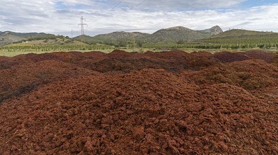 Sản xuất nhiên liệu sinh học từ bã nho
