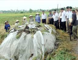 Sản xuất thành công chế phẩm men sinh học tổng hợp BIO-MIX