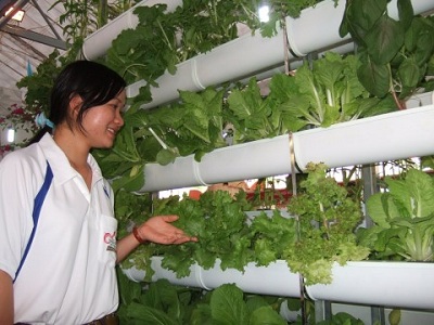 Hơn 400 gian hàng tham dự Triển lãm Hội chợ thành tích nông dân xuất sắc thời hội nhập - nông nghiệp đô thị và giao thương kinh tế vùng Đông Nam bộ năm 2017